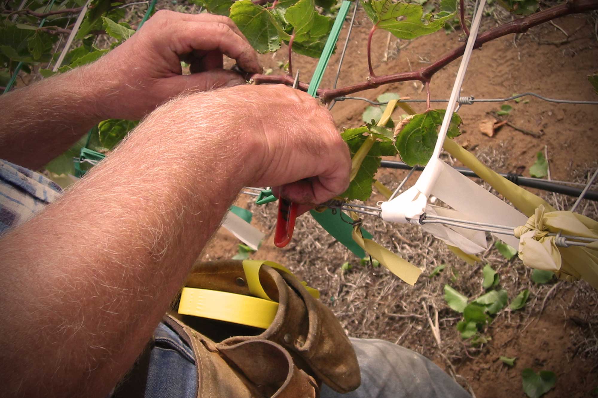 Ergonomic Workstation Assessment