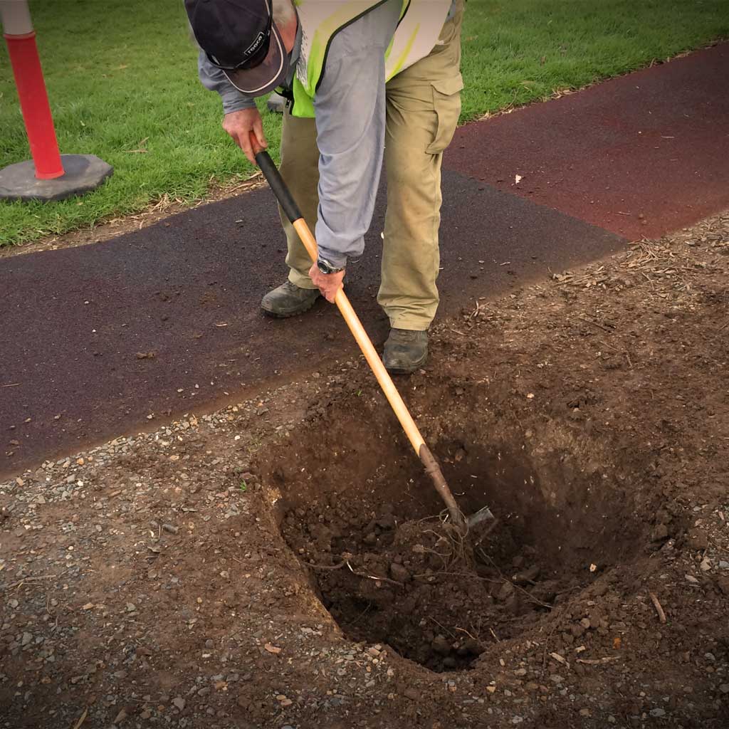 injury management and injury prevention