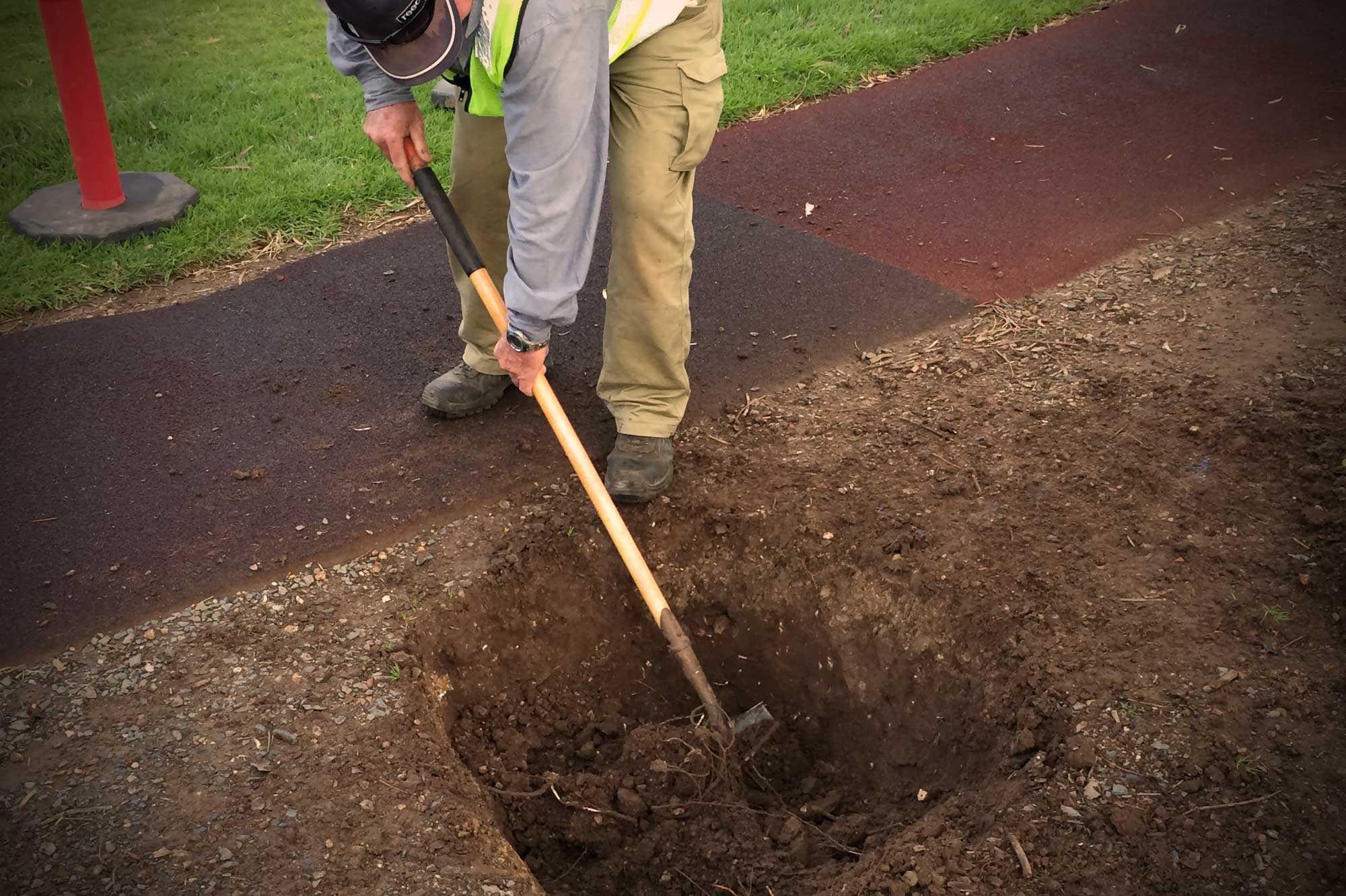 injury management and injury prevention